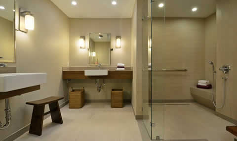 Austin-Home-Design-Remodel-Tier1-Group-LLC-Leander-TX-aging-in-place-bathroom-nl